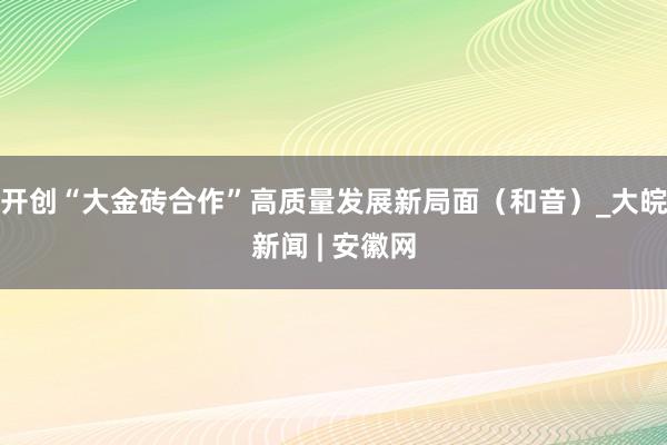 开创“大金砖合作”高质量发展新局面（和音）_大皖新闻 | 安徽网