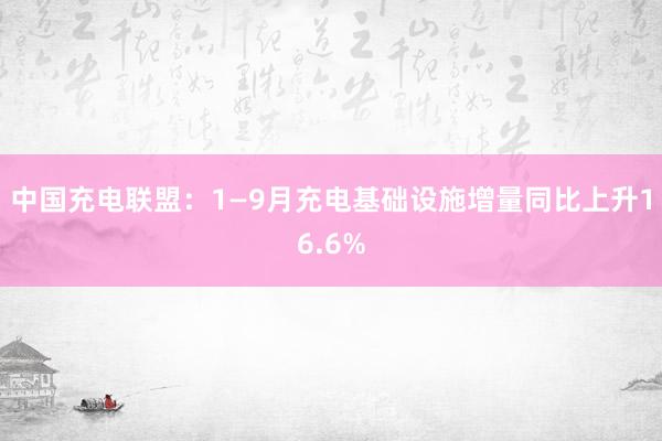 中国充电联盟：1—9月充电基础设施增量同比上升16.6%