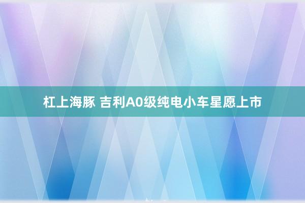 杠上海豚 吉利A0级纯电小车星愿上市