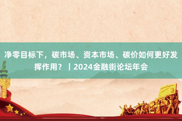 净零目标下，碳市场、资本市场、碳价如何更好发挥作用？丨2024金融街论坛年会