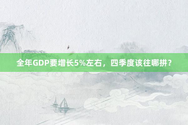 全年GDP要增长5%左右，四季度该往哪拼？