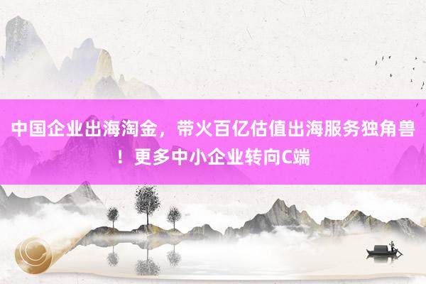 中国企业出海淘金，带火百亿估值出海服务独角兽！更多中小企业转向C端