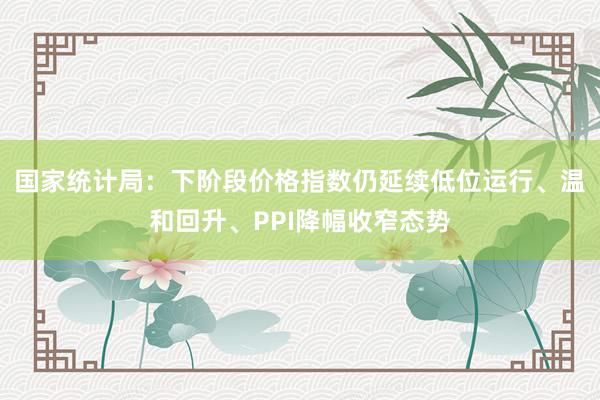 国家统计局：下阶段价格指数仍延续低位运行、温和回升、PPI降幅收窄态势