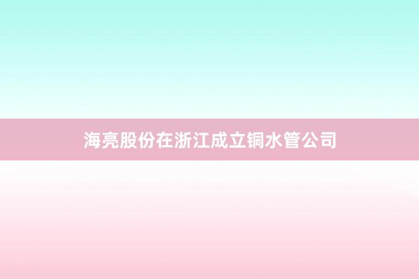 海亮股份在浙江成立铜水管公司