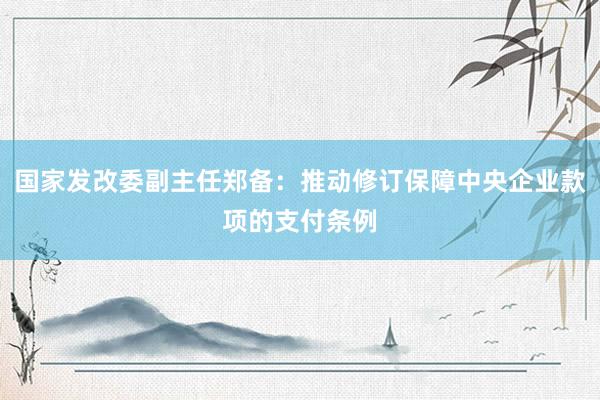 国家发改委副主任郑备：推动修订保障中央企业款项的支付条例