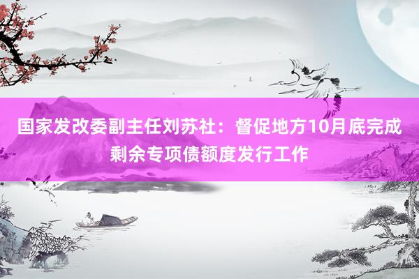 国家发改委副主任刘苏社：督促地方10月底完成剩余专项债额度发行工作