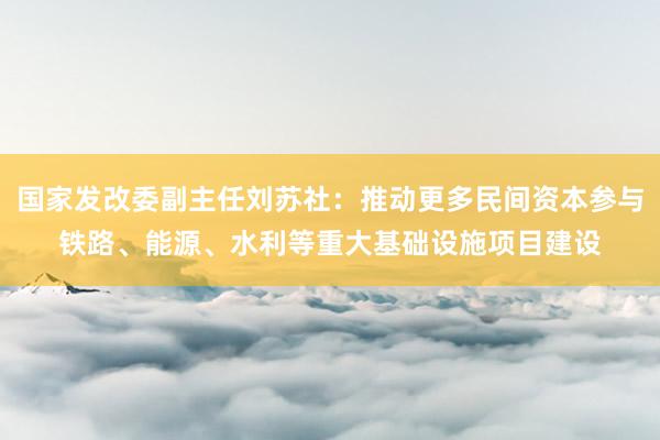 国家发改委副主任刘苏社：推动更多民间资本参与铁路、能源、水利等重大基础设施项目建设