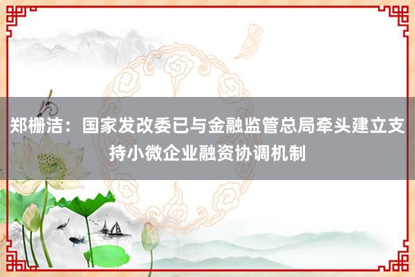 郑栅洁：国家发改委已与金融监管总局牵头建立支持小微企业融资协调机制