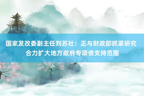 国家发改委副主任刘苏社：正与财政部抓紧研究 合力扩大地方政府专项债支持范围