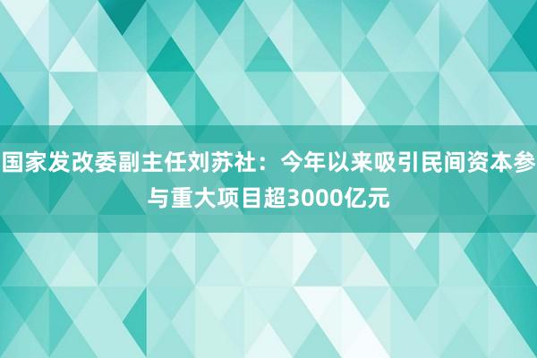 国家发改委副主任刘苏社：今年以来吸引民间资本参与重大项目超3000亿元