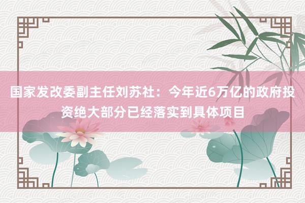 国家发改委副主任刘苏社：今年近6万亿的政府投资绝大部分已经落实到具体项目