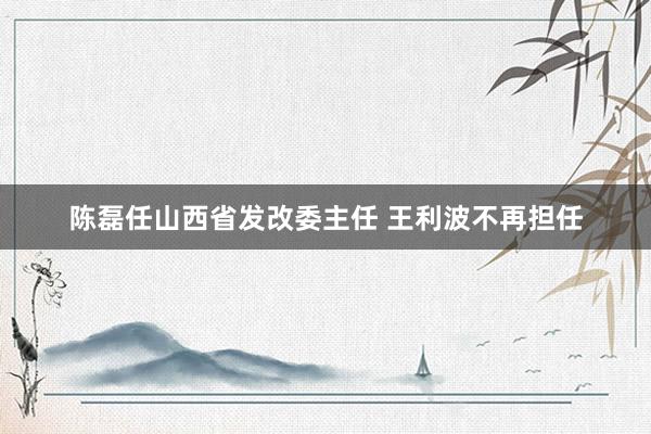 陈磊任山西省发改委主任 王利波不再担任