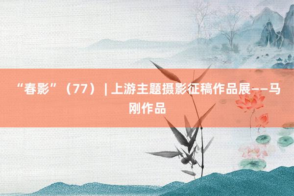 “春影”（77） | 上游主题摄影征稿作品展——马刚作品