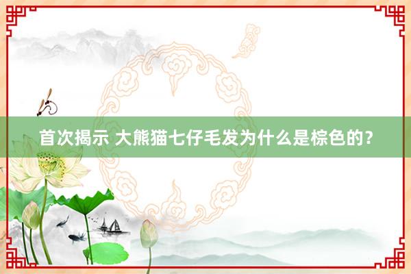 首次揭示 大熊猫七仔毛发为什么是棕色的？