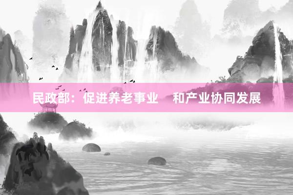 民政部：促进养老事业    和产业协同发展