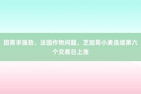 因需求强劲、法国作物问题，芝加哥小麦连续第六个交易日上涨