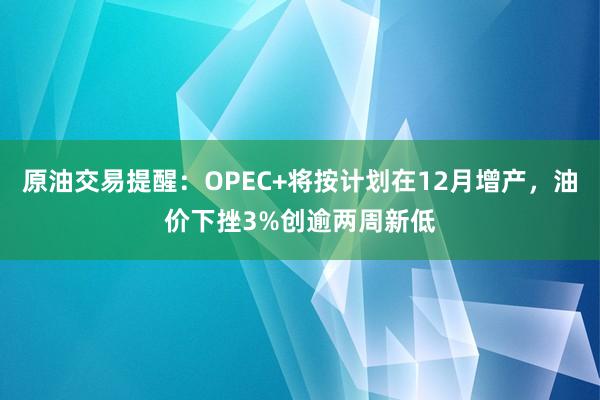 原油交易提醒：OPEC+将按计划在12月增产，油价下挫3%创逾两周新低