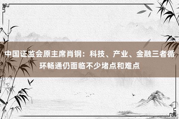 中国证监会原主席肖钢：科技、产业、金融三者循环畅通仍面临不少堵点和难点