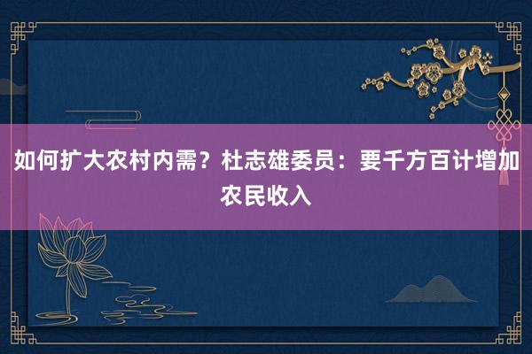 如何扩大农村内需？杜志雄委员：要千方百计增加农民收入