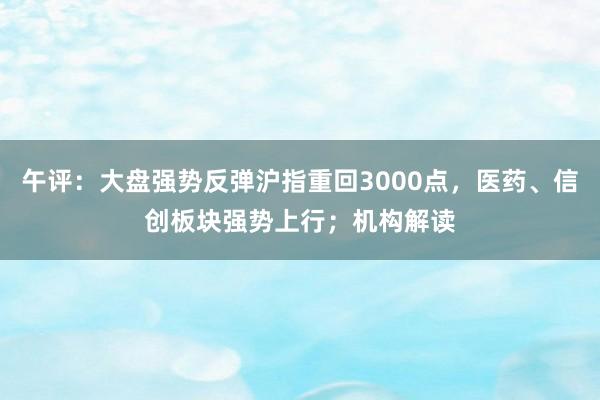 午评：大盘强势反弹沪指重回3000点，医药、信创板块强势上行；机构解读