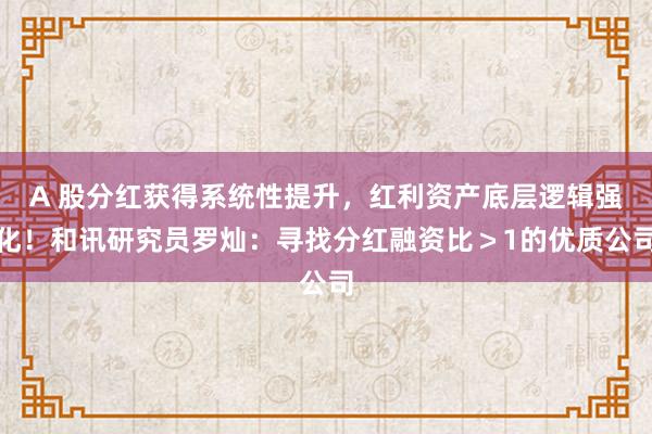 A 股分红获得系统性提升，红利资产底层逻辑强化！和讯研究员罗灿：寻找分红融资比＞1的优质公司