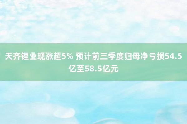 天齐锂业现涨超5% 预计前三季度归母净亏损54.5亿至58.5亿元