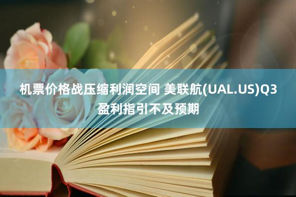 机票价格战压缩利润空间 美联航(UAL.US)Q3盈利指引不及预期