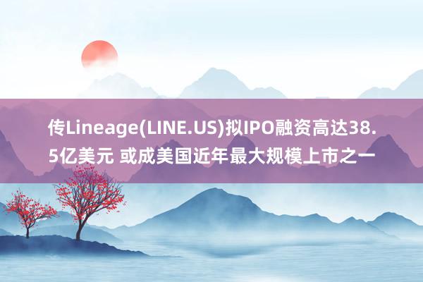 传Lineage(LINE.US)拟IPO融资高达38.5亿美元 或成美国近年最大规模上市之一