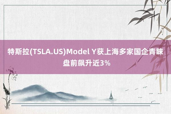 特斯拉(TSLA.US)Model Y获上海多家国企青睐 盘前飙升近3%