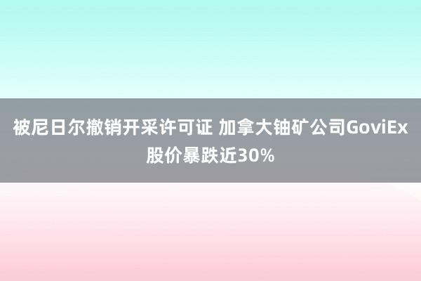 被尼日尔撤销开采许可证 加拿大铀矿公司GoviEx股价暴跌近30%