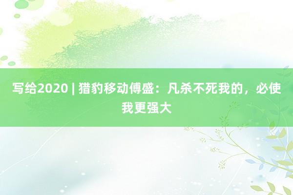 写给2020 | 猎豹移动傅盛：凡杀不死我的，必使我更强大