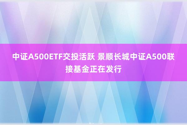 中证A500ETF交投活跃 景顺长城中证A500联接基金正在发行