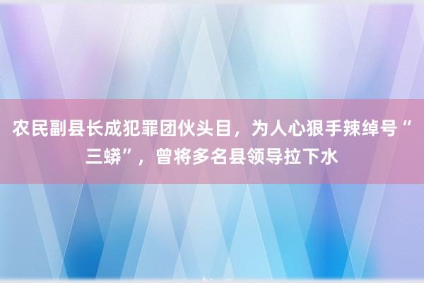 农民副县长成犯罪团伙头目，为人心狠手辣绰号“三蟒”，曾将多名县领导拉下水