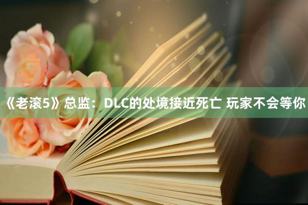 《老滚5》总监：DLC的处境接近死亡 玩家不会等你