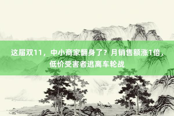 这届双11，中小商家翻身了？月销售额涨1倍，低价受害者逃离车轮战