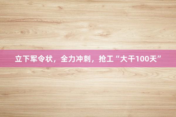 立下军令状，全力冲刺，抢工“大干100天”