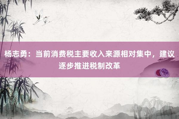 杨志勇：当前消费税主要收入来源相对集中，建议逐步推进税制改革