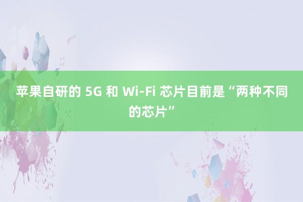 苹果自研的 5G 和 Wi-Fi 芯片目前是“两种不同的芯片”