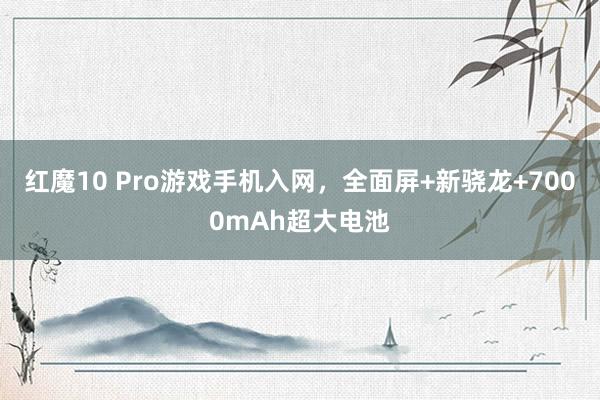 红魔10 Pro游戏手机入网，全面屏+新骁龙+7000mAh超大电池