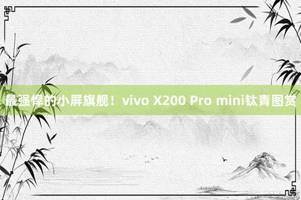 最强悍的小屏旗舰！vivo X200 Pro mini钛青图赏