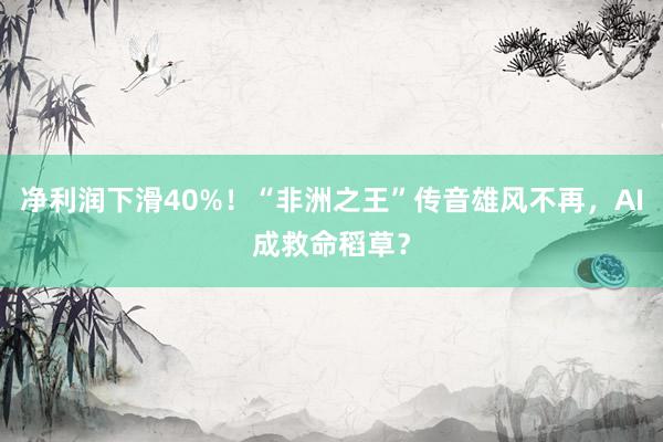 净利润下滑40%！“非洲之王”传音雄风不再，AI成救命稻草？