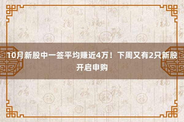 10月新股中一签平均赚近4万！下周又有2只新股开启申购