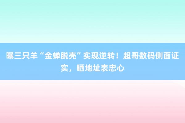 曝三只羊“金蝉脱壳”实现逆转！超哥数码侧面证实，晒地址表忠心