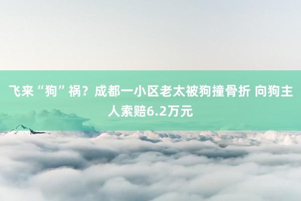 飞来“狗”祸？成都一小区老太被狗撞骨折 向狗主人索赔6.2万元