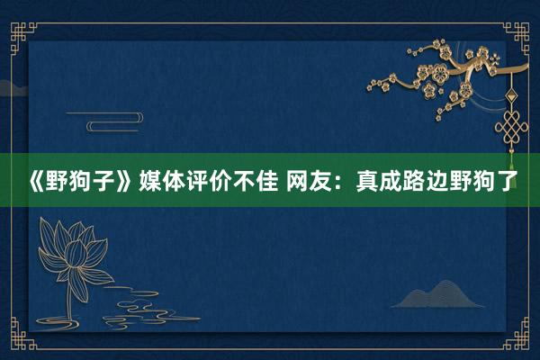 《野狗子》媒体评价不佳 网友：真成路边野狗了