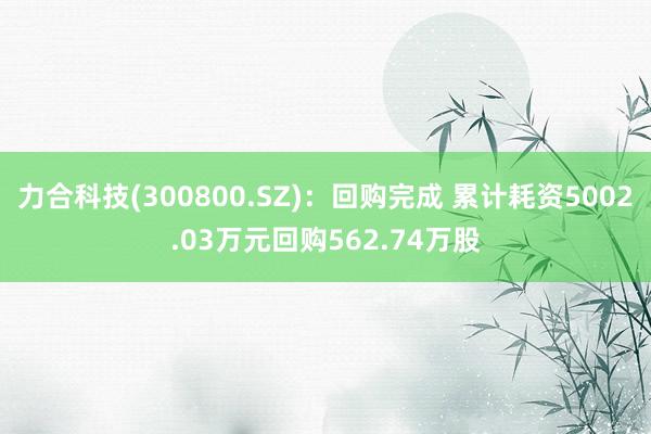 力合科技(300800.SZ)：回购完成 累计耗资5002.03万元回购562.74万股