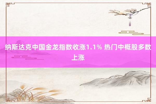 纳斯达克中国金龙指数收涨1.1% 热门中概股多数上涨