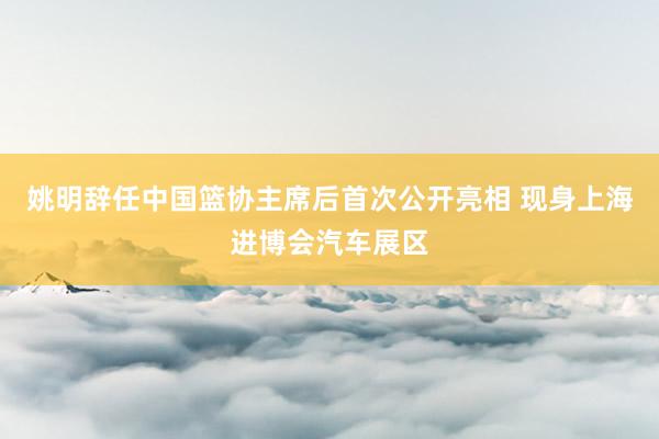 姚明辞任中国篮协主席后首次公开亮相 现身上海进博会汽车展区