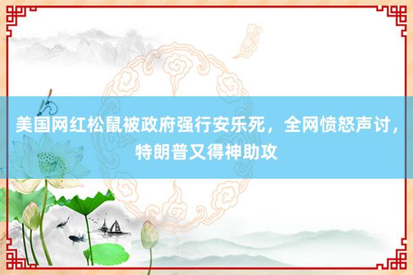 美国网红松鼠被政府强行安乐死，全网愤怒声讨，特朗普又得神助攻