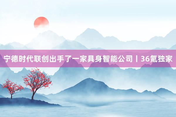 宁德时代联创出手了一家具身智能公司丨36氪独家